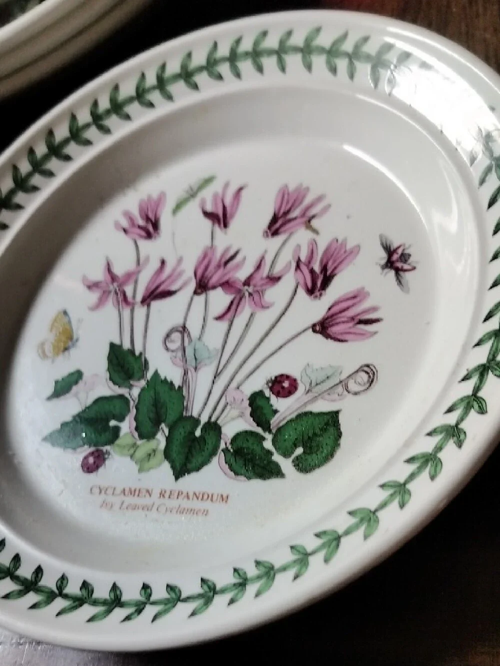 Port Meirion Botanical Cyclamen Floral Salad Plate - Pink & Green